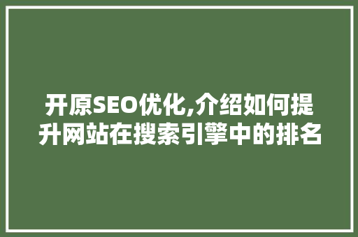 开原SEO优化,介绍如何提升网站在搜索引擎中的排名  第1张