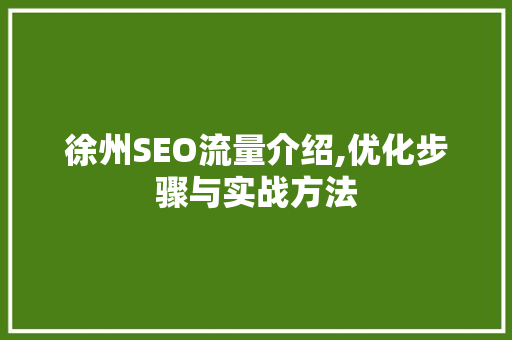 徐州SEO流量介绍,优化步骤与实战方法