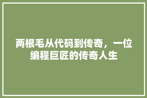 两根毛从代码到传奇，一位编程巨匠的传奇人生