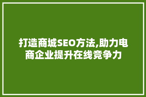 打造商城SEO方法,助力电商企业提升在线竞争力