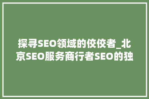 探寻SEO领域的佼佼者_北京SEO服务商行者SEO的独特魅力