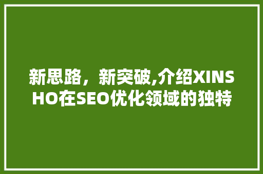 新思路，新突破,介绍XINSHO在SEO优化领域的独特之路