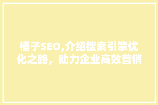橘子SEO,介绍搜索引擎优化之路，助力企业高效营销