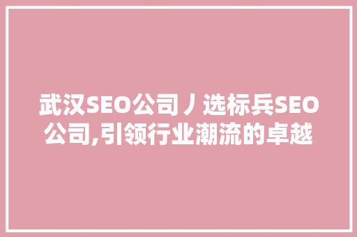 武汉SEO公司丿选标兵SEO公司,引领行业潮流的卓越之选