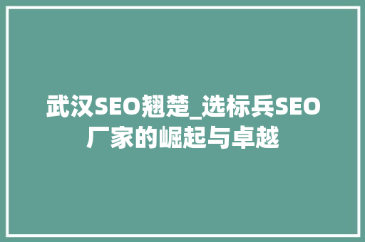 武汉SEO翘楚_选标兵SEO厂家的崛起与卓越  第1张