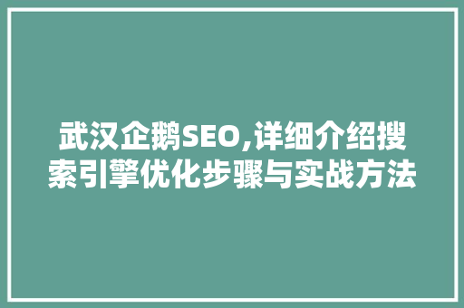 武汉企鹅SEO,详细介绍搜索引擎优化步骤与实战方法