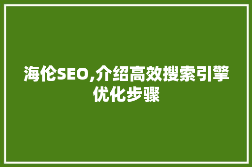 海伦SEO,介绍高效搜索引擎优化步骤