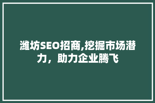 潍坊SEO招商,挖掘市场潜力，助力企业腾飞