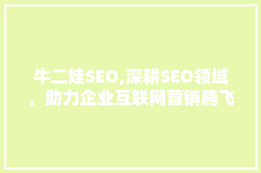 牛二娃SEO,深耕SEO领域，助力企业互联网营销腾飞