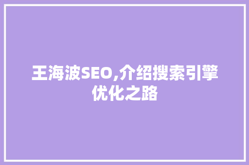王海波SEO,介绍搜索引擎优化之路