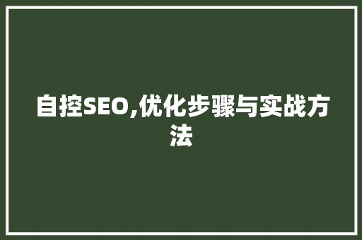 自控SEO,优化步骤与实战方法  第1张