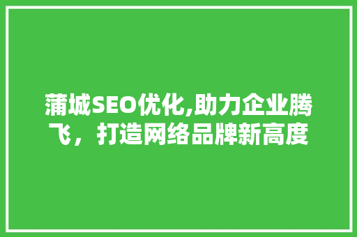 蒲城SEO优化,助力企业腾飞，打造网络品牌新高度  第1张