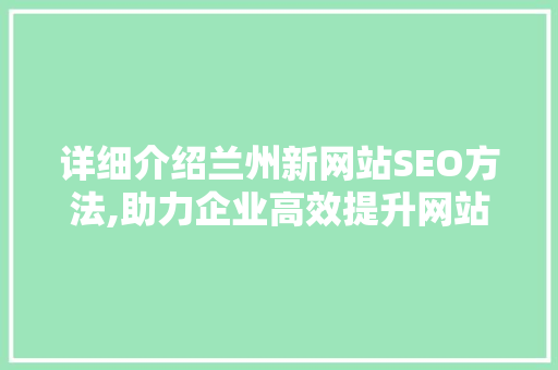 详细介绍兰州新网站SEO方法,助力企业高效提升网站排名与流量