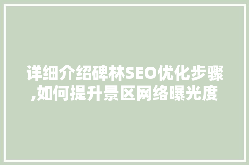 详细介绍碑林SEO优化步骤,如何提升景区网络曝光度  第1张