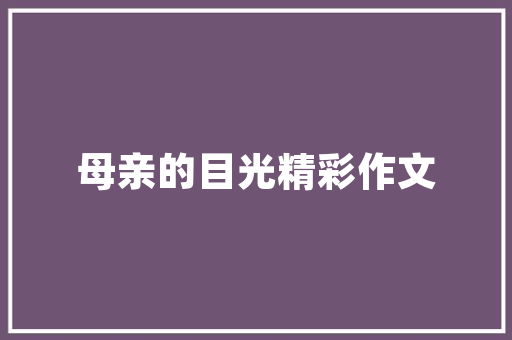 酒店SEO优化步骤,打造在线营销新高度
