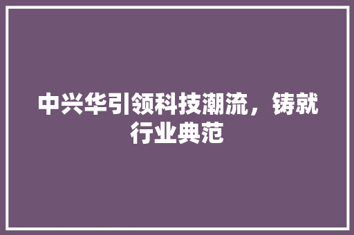 中兴华引领科技潮流，铸就行业典范