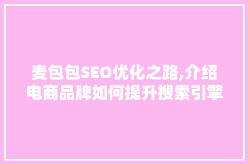 麦包包SEO优化之路,介绍电商品牌如何提升搜索引擎排名  第1张