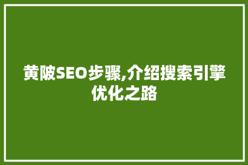 黄陂SEO步骤,介绍搜索引擎优化之路  第1张