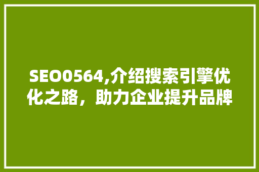 SEO0564,介绍搜索引擎优化之路，助力企业提升品牌影响力
