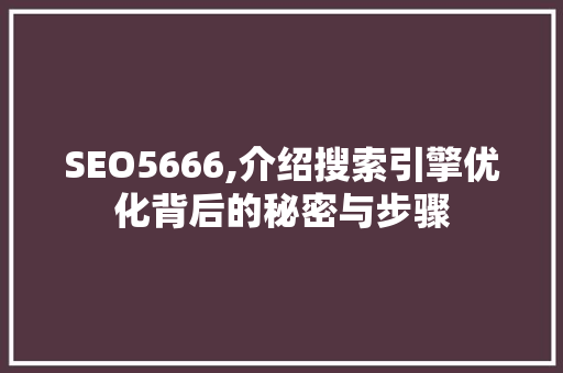 SEO5666,介绍搜索引擎优化背后的秘密与步骤