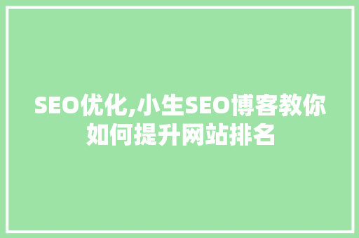 SEO优化,小生SEO博客教你如何提升网站排名
