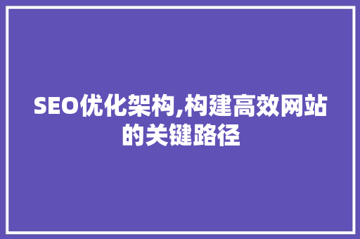 SEO优化架构,构建高效网站的关键路径