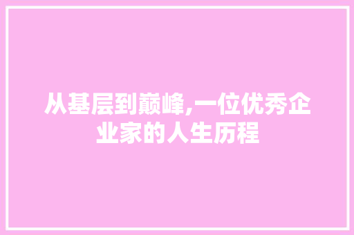 从基层到巅峰,一位优秀企业家的人生历程  第1张