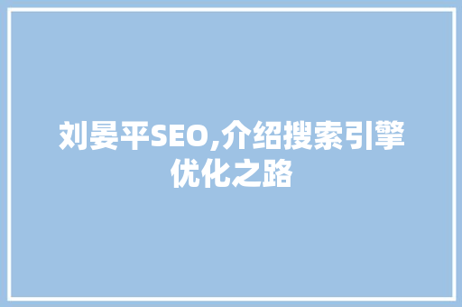 刘晏平SEO,介绍搜索引擎优化之路