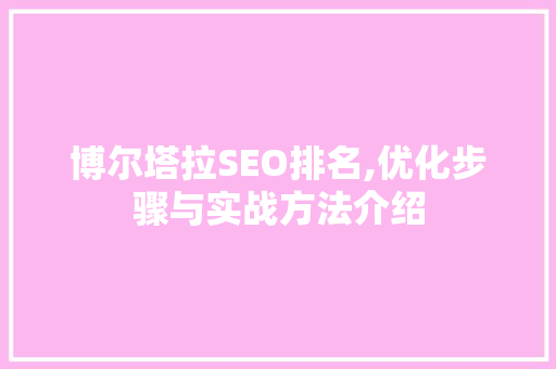 博尔塔拉SEO排名,优化步骤与实战方法介绍  第1张