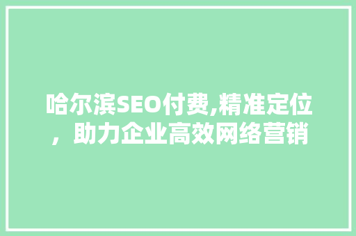 哈尔滨SEO付费,精准定位，助力企业高效网络营销