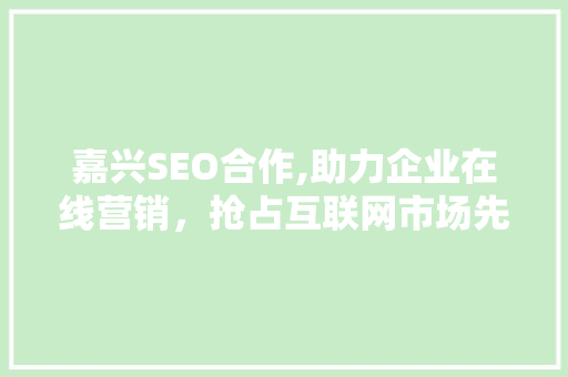 嘉兴SEO合作,助力企业在线营销，抢占互联网市场先机