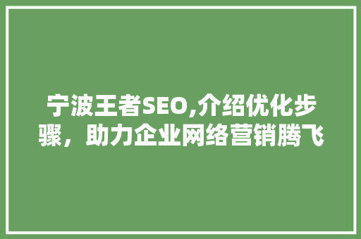 宁波王者SEO,介绍优化步骤，助力企业网络营销腾飞