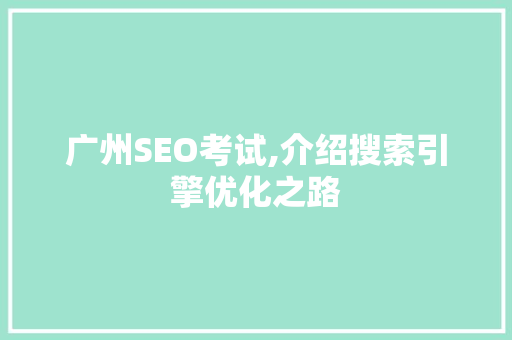 广州SEO考试,介绍搜索引擎优化之路