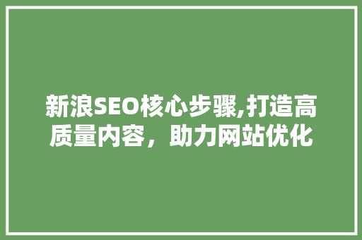 新浪SEO核心步骤,打造高质量内容，助力网站优化