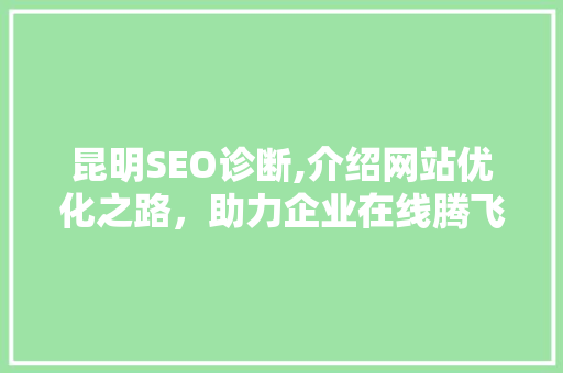 昆明SEO诊断,介绍网站优化之路，助力企业在线腾飞