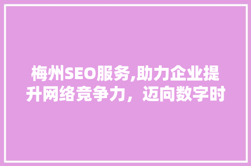 梅州SEO服务,助力企业提升网络竞争力，迈向数字时代  第1张