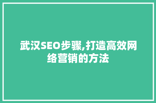 武汉SEO步骤,打造高效网络营销的方法
