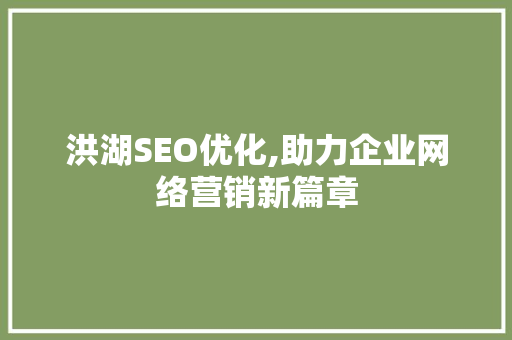 洪湖SEO优化,助力企业网络营销新篇章