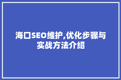 海口SEO维护,优化步骤与实战方法介绍