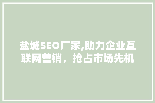 盐城SEO厂家,助力企业互联网营销，抢占市场先机