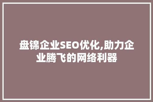 盘锦企业SEO优化,助力企业腾飞的网络利器
