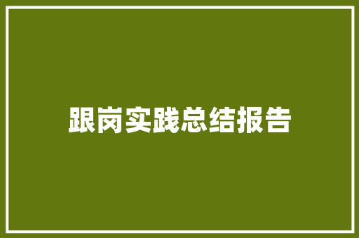 肇庆SEO渠道步骤,挖掘潜力，提升网站排名