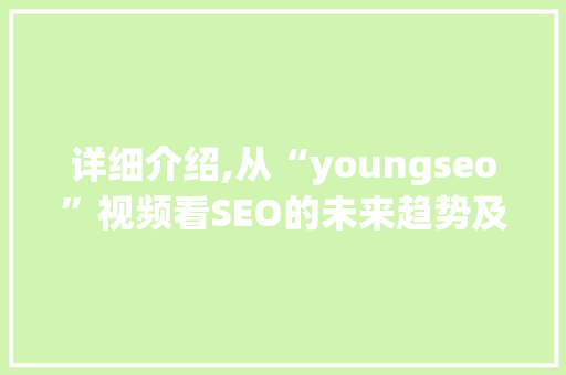 详细介绍,从“youngseo”视频看SEO的未来趋势及步骤  第1张