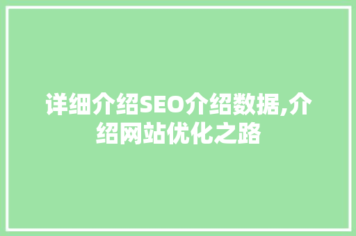详细介绍SEO介绍数据,介绍网站优化之路