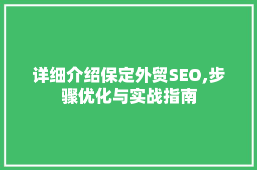 详细介绍保定外贸SEO,步骤优化与实战指南