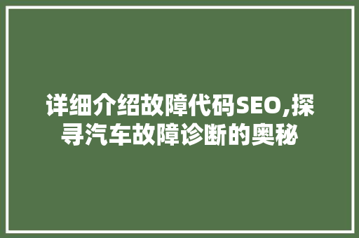 详细介绍故障代码SEO,探寻汽车故障诊断的奥秘