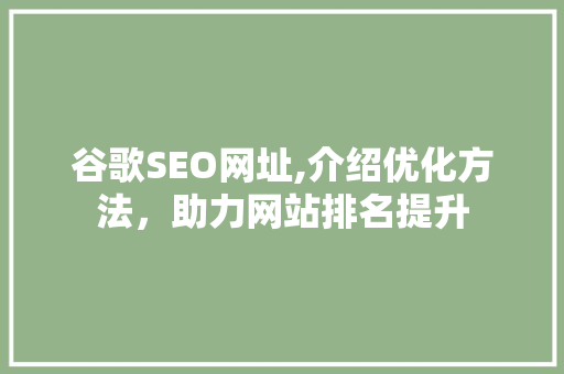 谷歌SEO网址,介绍优化方法，助力网站排名提升