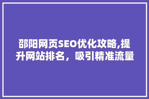 邵阳网页SEO优化攻略,提升网站排名，吸引精准流量