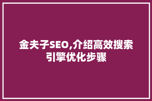 金夫子SEO,介绍高效搜索引擎优化步骤