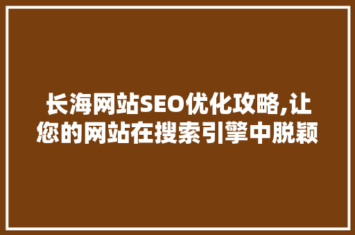 长海网站SEO优化攻略,让您的网站在搜索引擎中脱颖而出